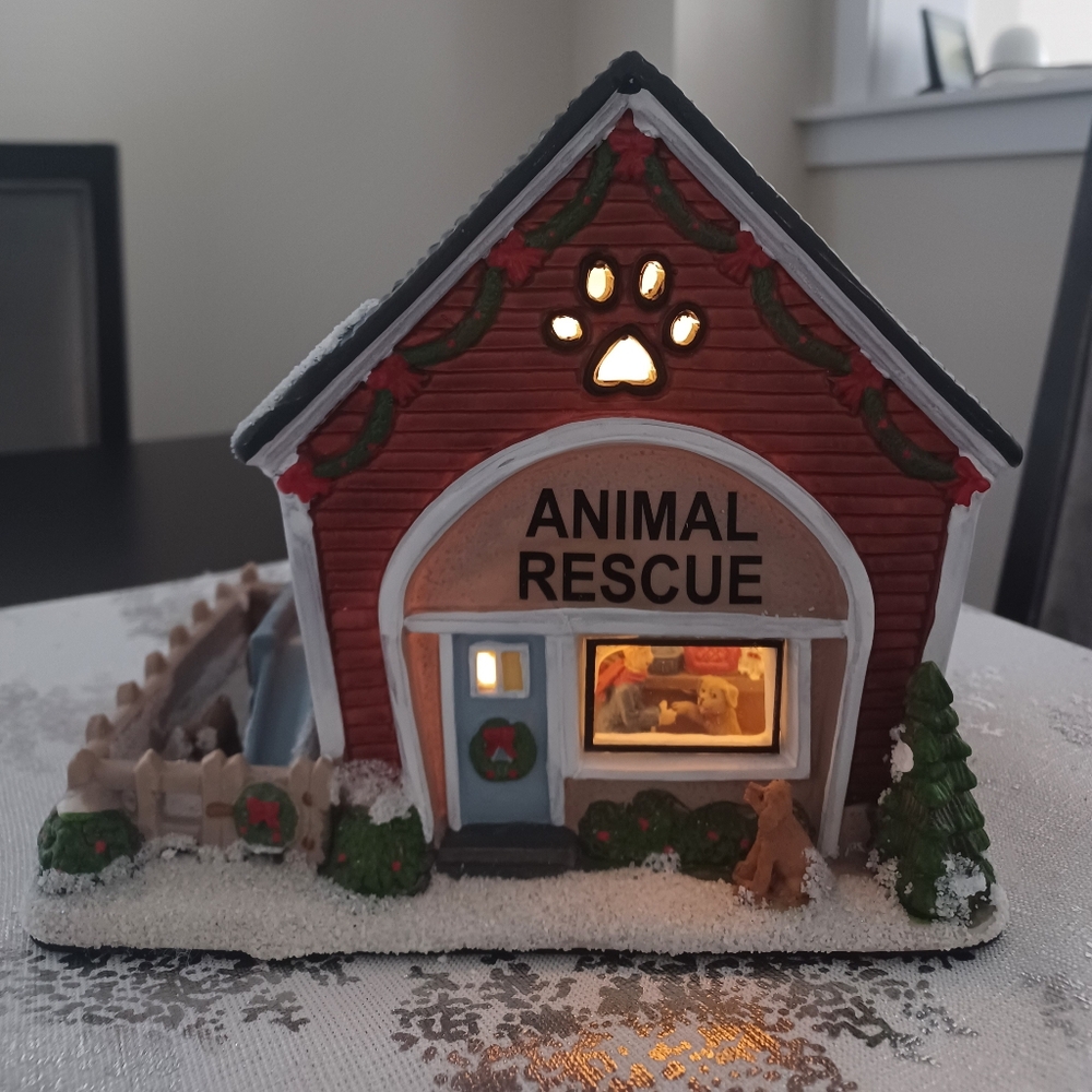 Animal Rescue St. Nicholas Square Lighted Building 2016 Handpainted Iluminated